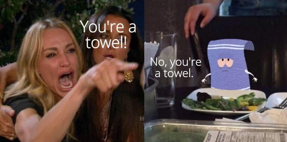 funny memes - cute cats - template woman yelling at cat - You're a towel! No, you're a towel.