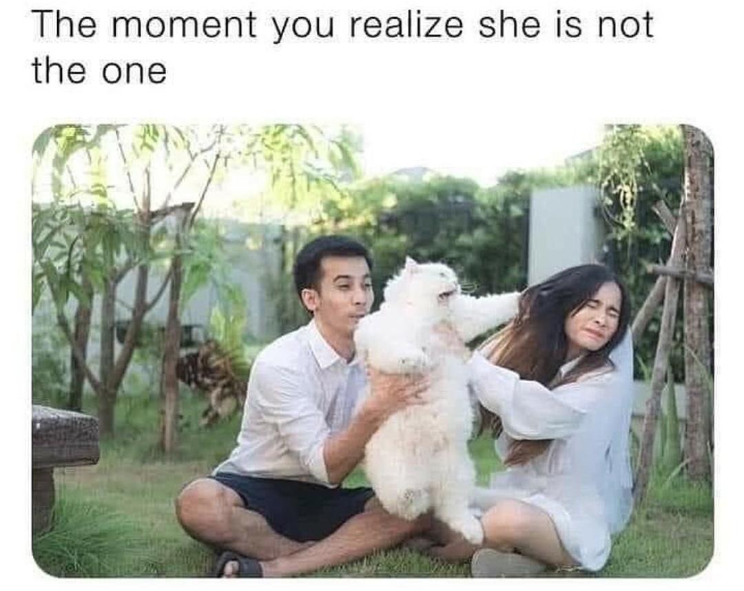 funny memes - cute cats - The moment you realize she is not the one