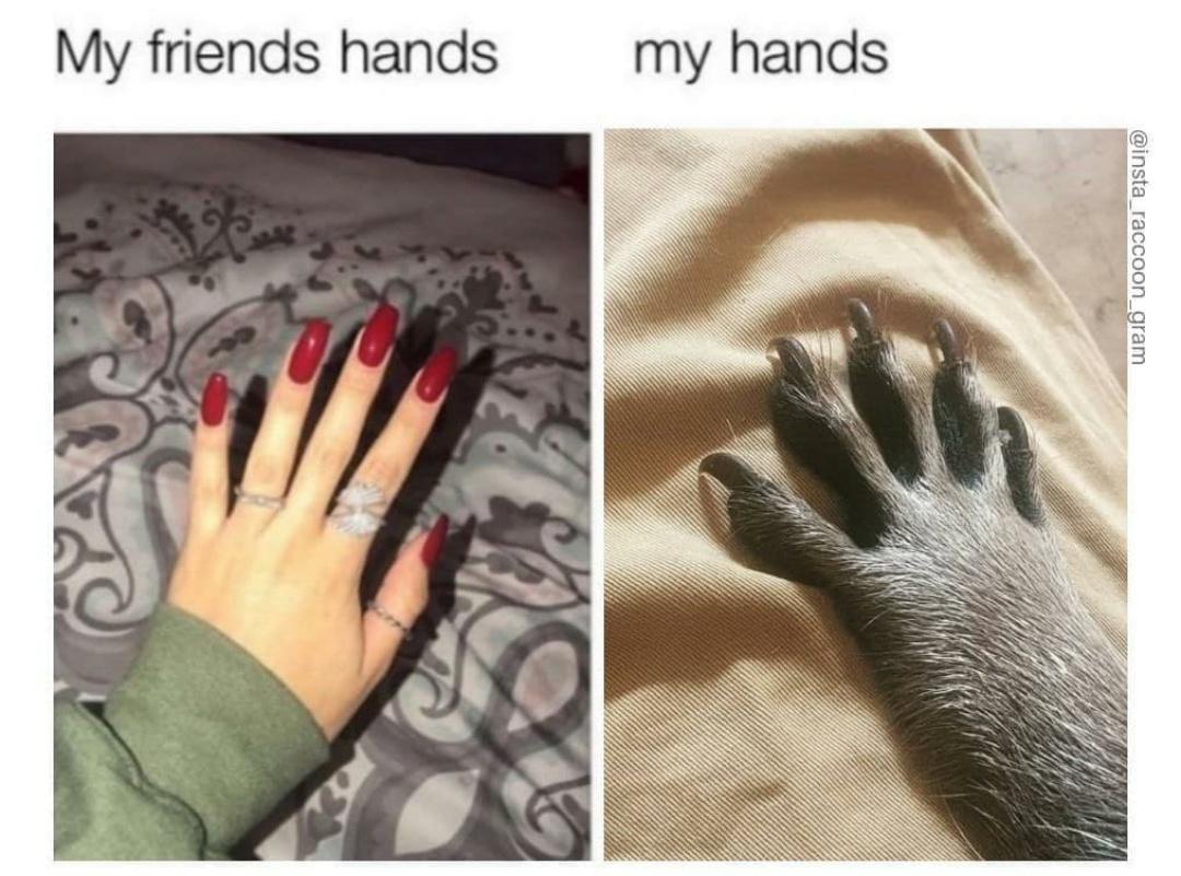 my friends hand vs my hand - My friends hands my hands