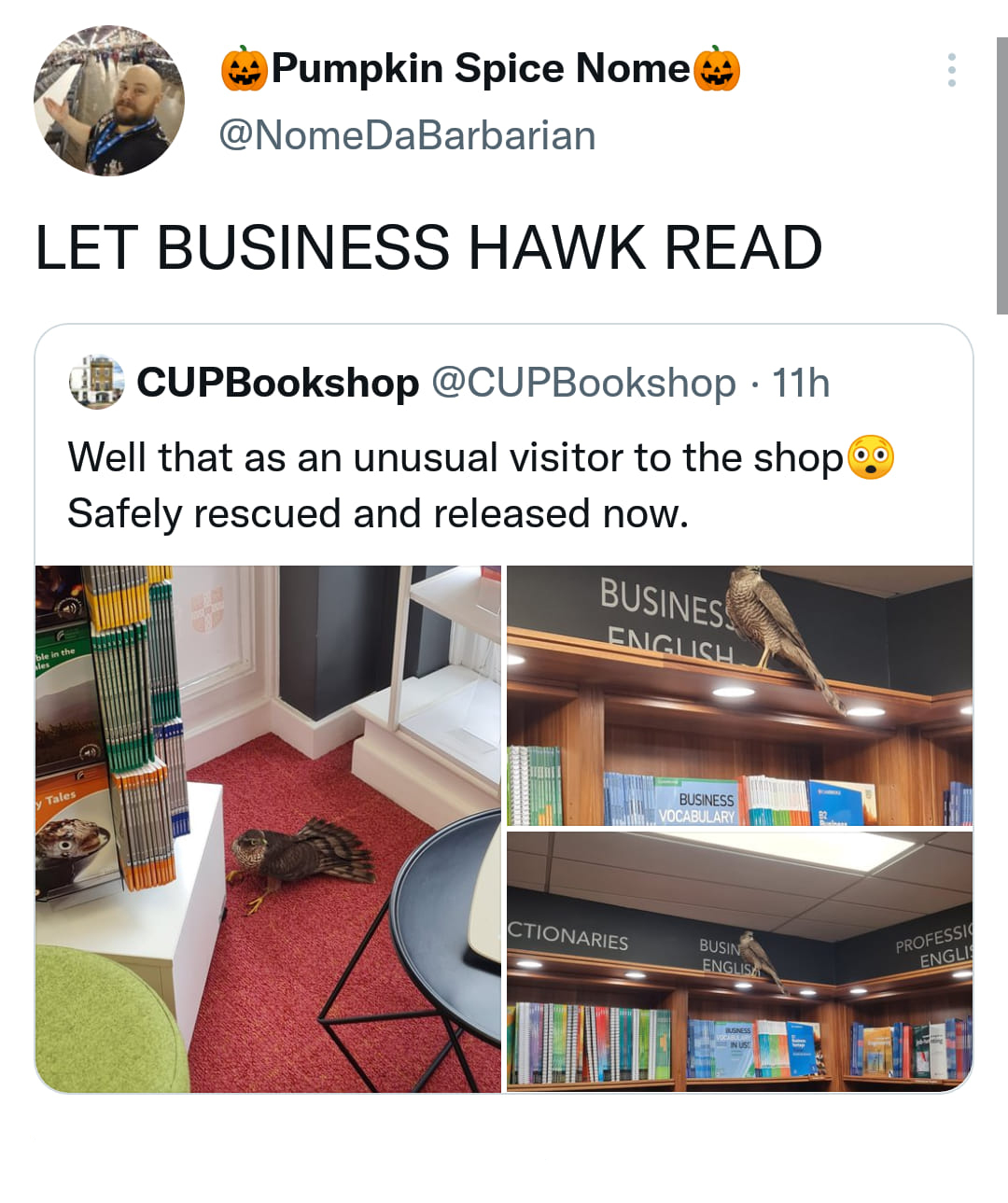 table - Pumpkin Spice Nome Let Business Hawk Read CUPBookshop . 11h Well that as an unusual visitor to the shop Safely rescued and released now. Busines English Ctionaries Sydd Poves Engli
