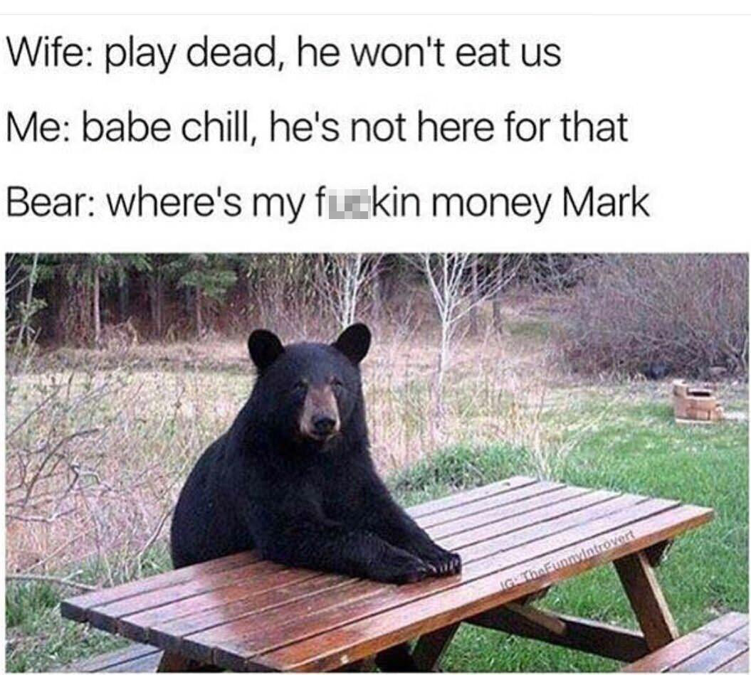 funny memes - best memes - where's my money mark meme - Wife play dead, he won't eat us Me babe chill, he's not here for that Bear where's my fuckin money Mark GMThFunnuintrovert