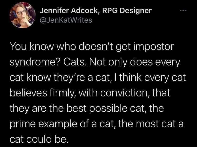 funny memes - best memes - imposter syndrome embrace - Jennifer Adcock, Rpg Designer You know who doesn't get impostor syndrome? Cats. Not only does every cat know they're a cat, I think every cat believes firmly, with conviction, that they are the best p