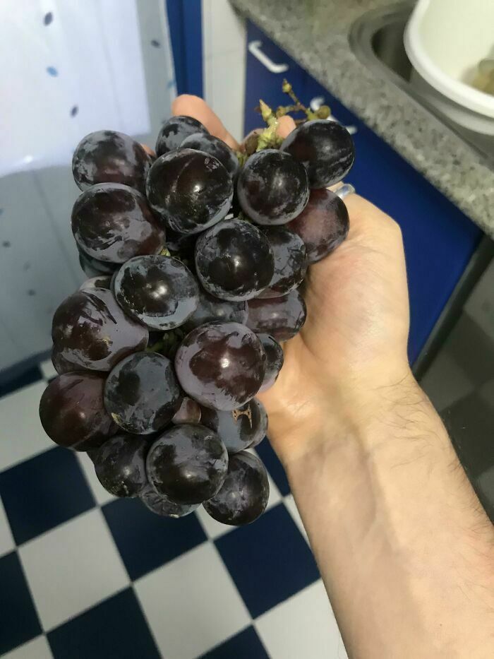 people winning at life - grape