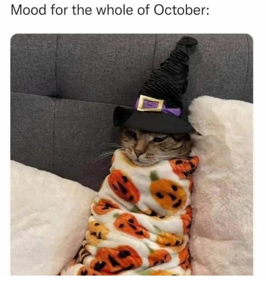 cat - Mood for the whole of October