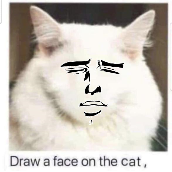 monday morning randomness - draw a face on the cat - os Draw a face on the cat,
