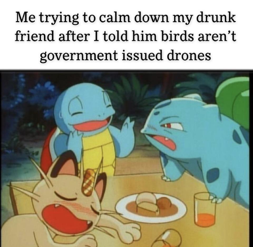 gaming memes - drunk pokemon - Me trying to calm down my drunk friend after I told him birds aren't government issued drones