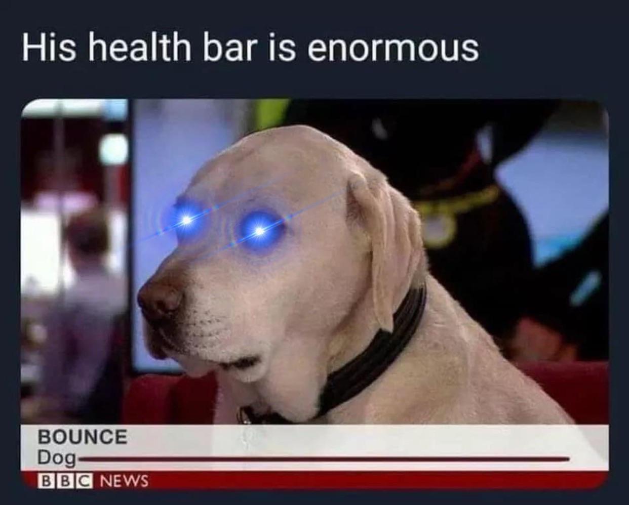 gaming memes - bounce dog - His health bar is enormous Bounce Dog Bbc News