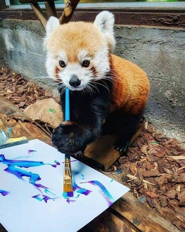 dank memes - red panda painting