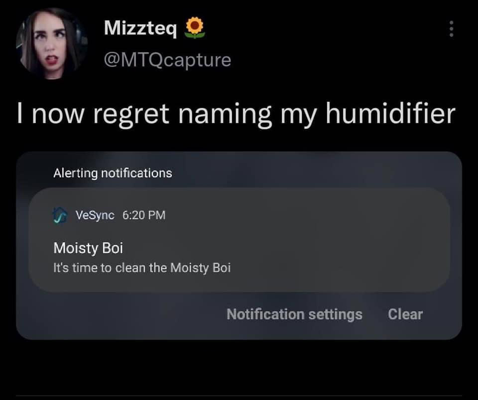 multimedia - Mizzteq O I now regret naming my humidifier Alerting notifications VeSync Moisty Boi It's time to clean the Moisty Boi Notification settings Clear