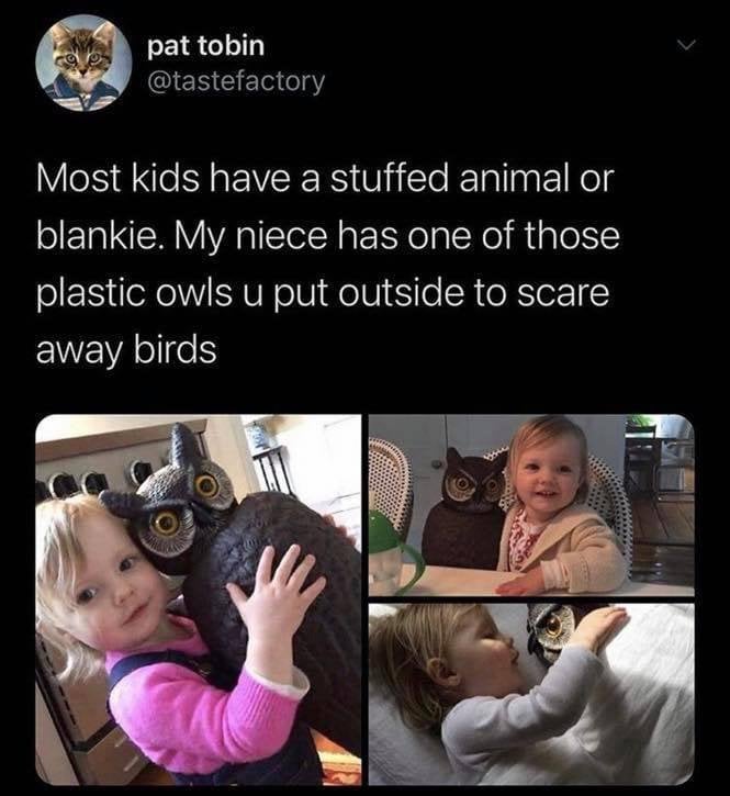 Birds - pat tobin a Most kids have a stuffed animal or blankie. My niece has one of those plastic owls u put outside to scare away birds