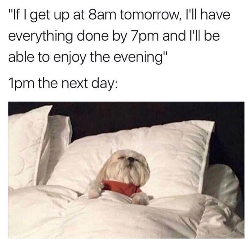 31 Fresh Pics And Memes For The Exquisite Minds