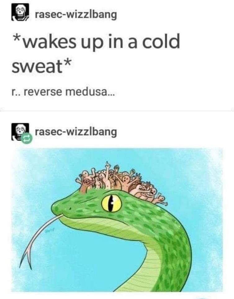 fresh memes - reverse medusa - rasecwizzlbang wakes up in a cold sweat r.. reverse medusa... rasecwizzlbang