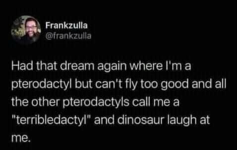 funny tweets  - Frankzulla Had that dream again where I'm a pterodactyl but can't fly too good and all the other pterodactyls call me a "terribledactyl" and dinosaur laugh at me.