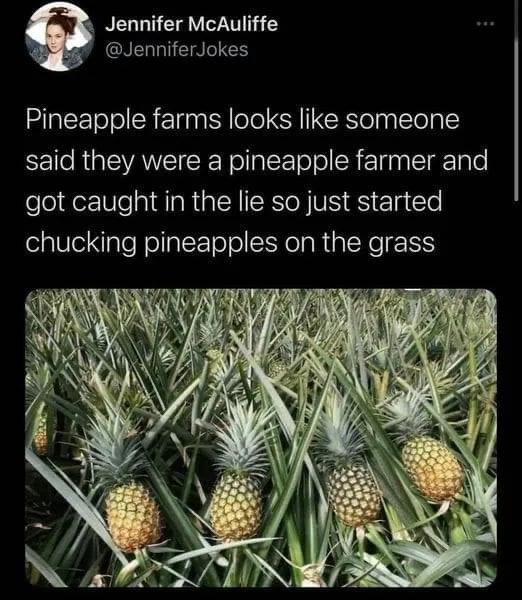 funny tweets  - pineapple meme - Jennifer McAuliffe Jokes Pineapple farms looks someone said they were a pineapple farmer and got caught in the lie so just started chucking pineapples on the grass