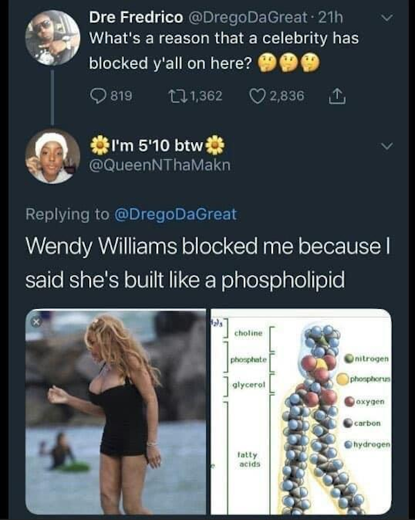 funny tweets  - lipid structure - Dre Fredrico 21h What's a reason that a celebrity has blocked y'all on here? Q819 171,362 2,836 1 I'm 5'10 btw Wendy Williams blocked me because I said she's built a phospholipid phosphate nitrogen glycerol oxygen carbon 