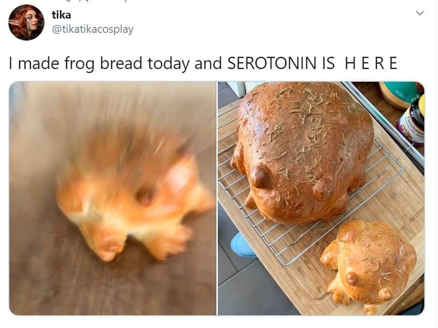 new memes - serotonin frog - tika I made frog bread today and Serotonin Is Here erisch
