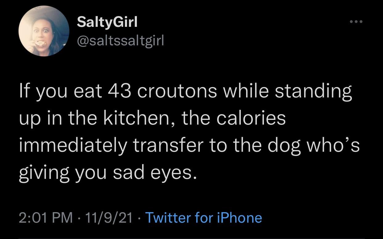 new memes - SaltyGirl If you eat 43 croutons while standing up in the kitchen, the calories immediately transfer to the dog who's giving you sad eyes. 11921 Twitter for iPhone