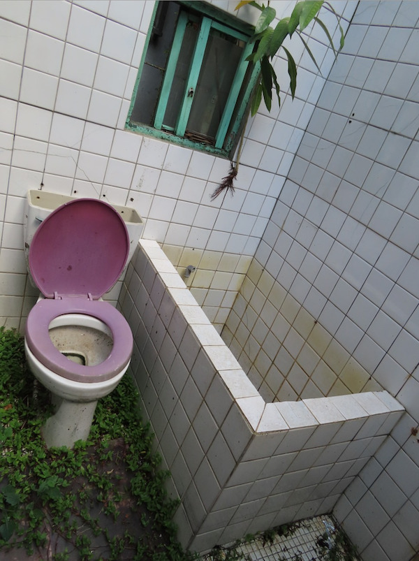 toilet -