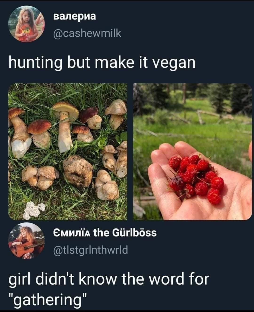 fresh memes - funny memes - cottagecore meme - hunting but make it vegan A the Grlboss girl didn't know the word for "gathering"