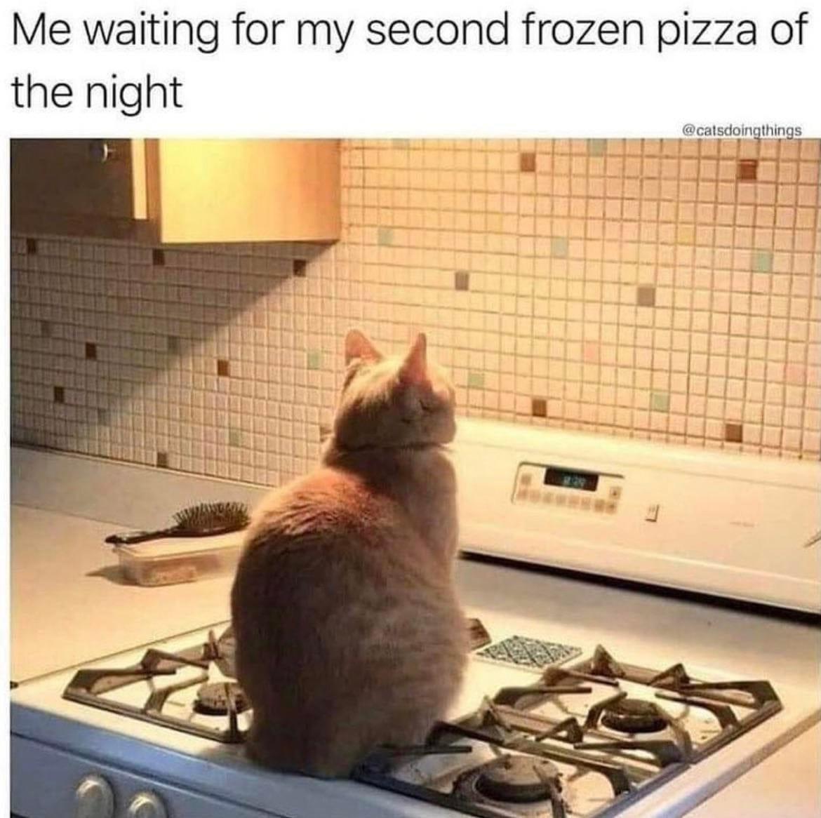 fresh memes - funny memes - rakan virgin sett chad - Me waiting for my second frozen pizza of the night