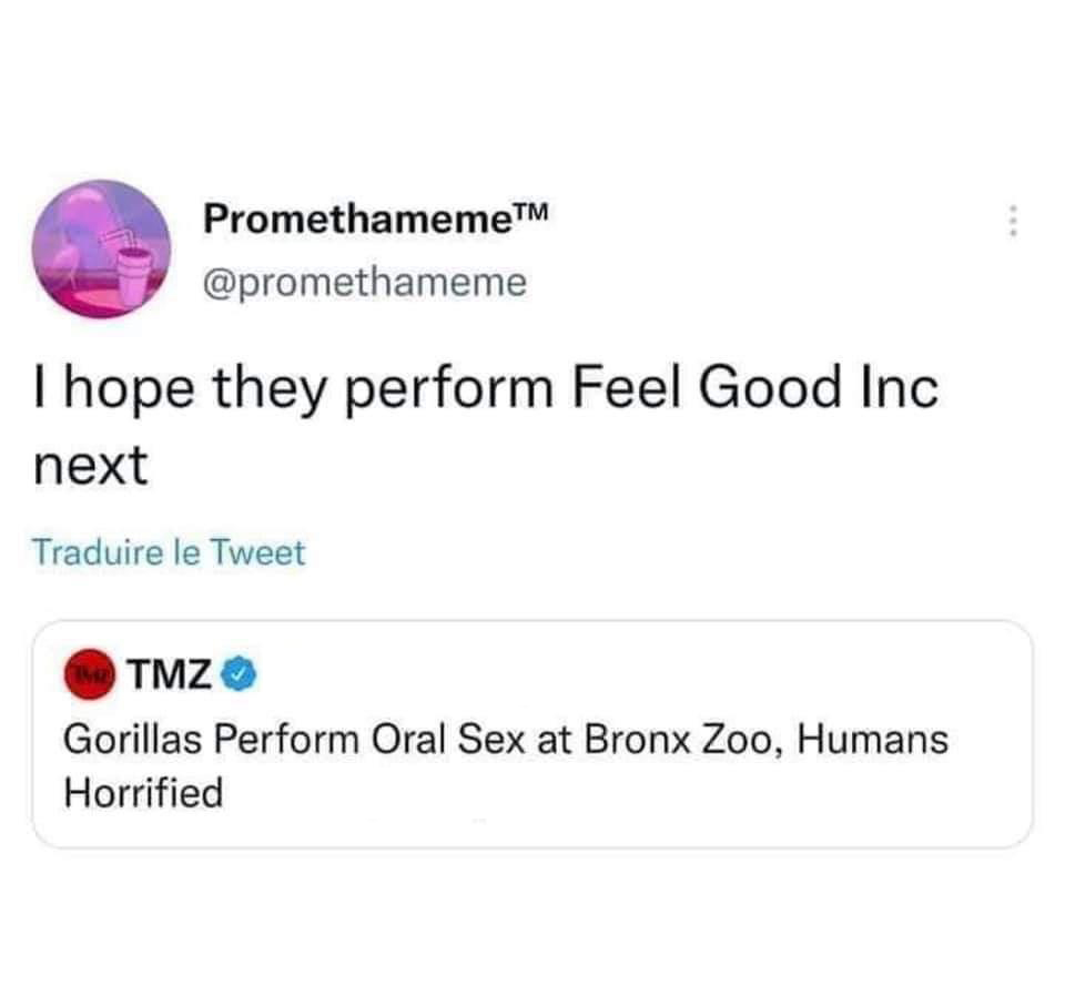 organization - PromethamemeTM I hope they perform Feel Good Inc next Traduire le Tweet Tmz Gorillas Perform Oral Sex at Bronx Zoo, Humans Horrified
