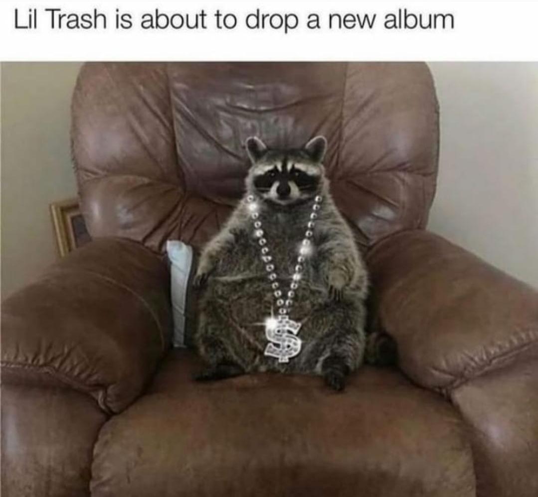 paycheck hits meme - Lil Trash is about to drop a new album