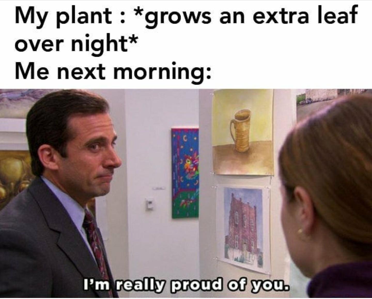 The Office memes - harvard pilgrim health care - My plant grows an extra leaf over night Me next morning I'm really proud of you.