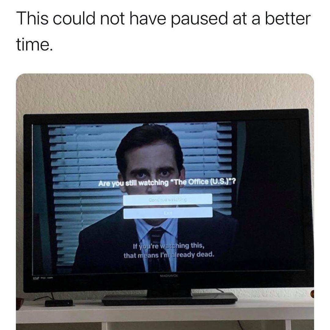 The Office memes - multimedia - This could not have paused at a better time. Are you still watching