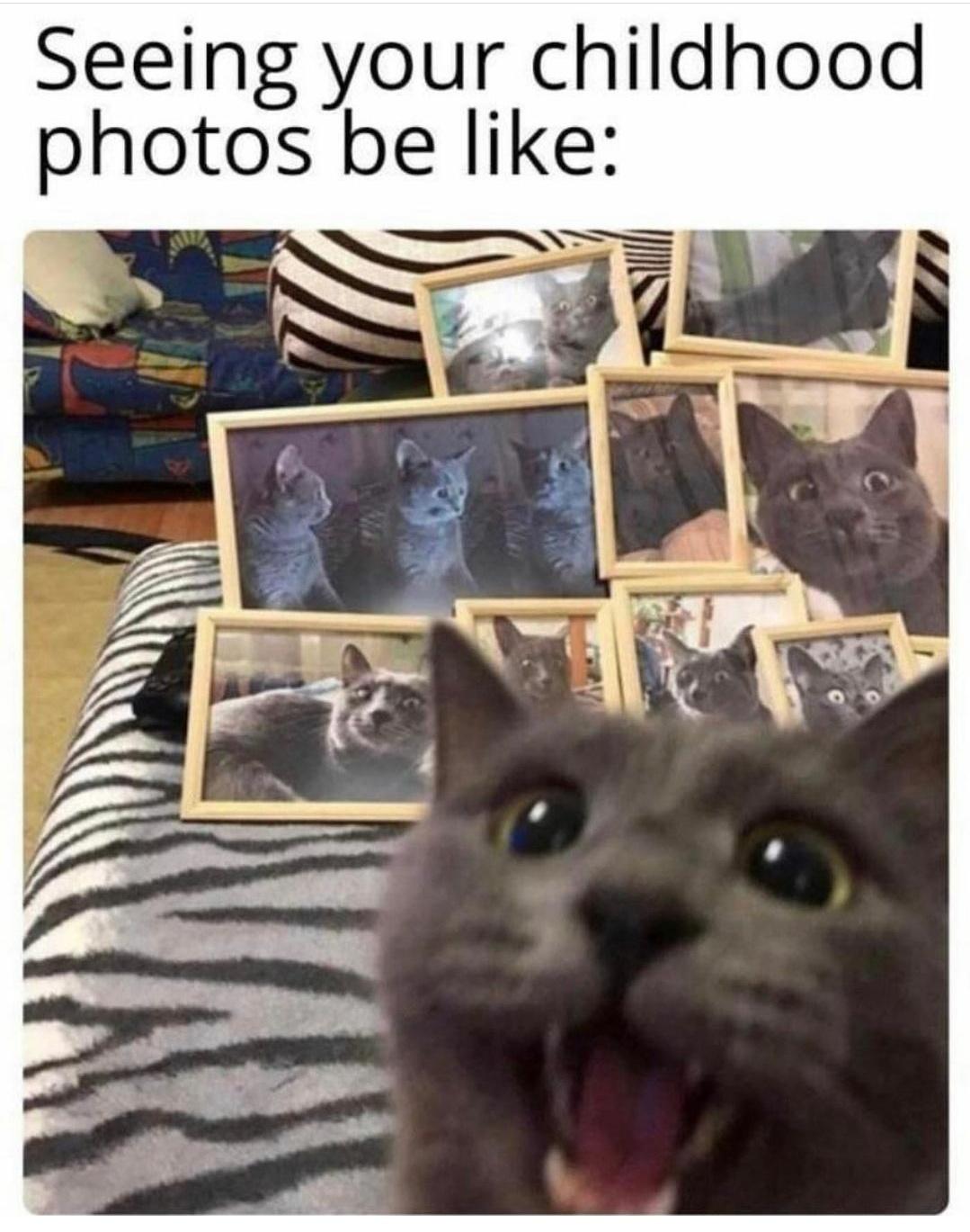 happy cat dank meme - Seeing your childhood photos be E