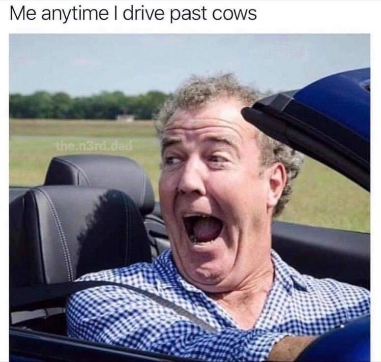 jeremy clarkson - Me anytime I drive past cows the.n3rd.dad