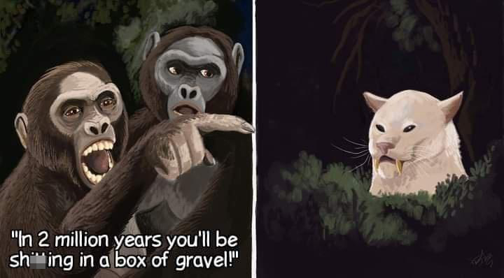Meme - "In 2 million years you'll be shing in a box of grayel!"