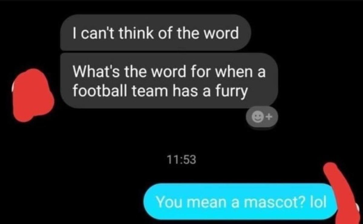what's it called when a football team has a furry - I can't think of the word What's the word for when a football team has a furry You mean a mascot? lol