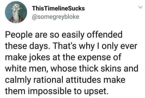 funny tweets - This Timeline Sucks People are so easily offended these days. That's why I only ever make jokes at the expense of white men, whose thick skins and calmly rational attitudes make them impossible to upset.