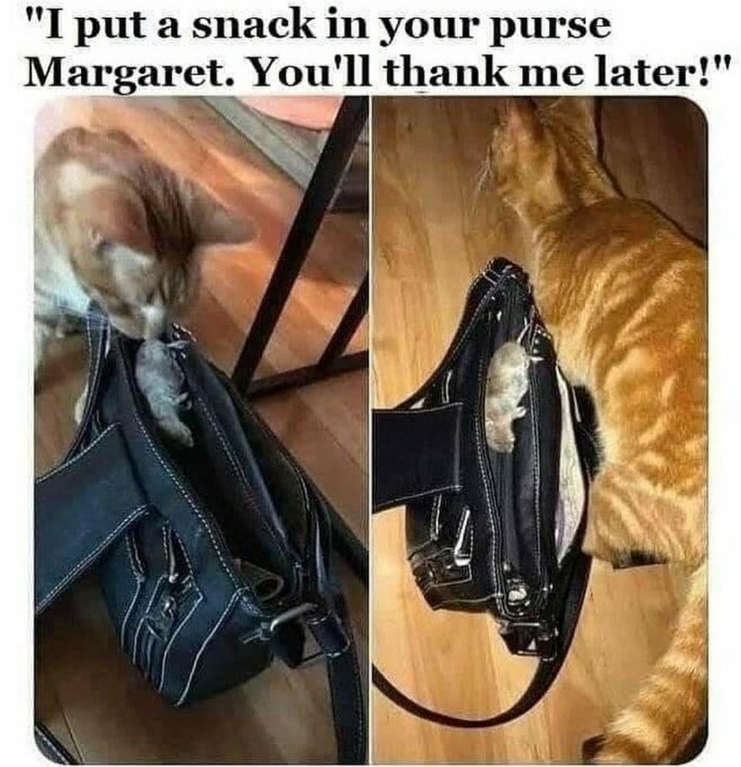a "I put a snack in your purse Margaret. You'll thank me later!"