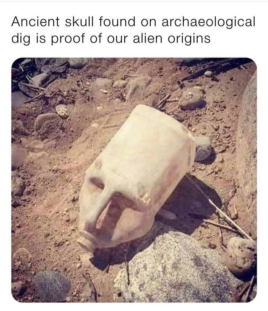 alien proof funny - Ancient skull found on archaeological dig is proof of our alien origins