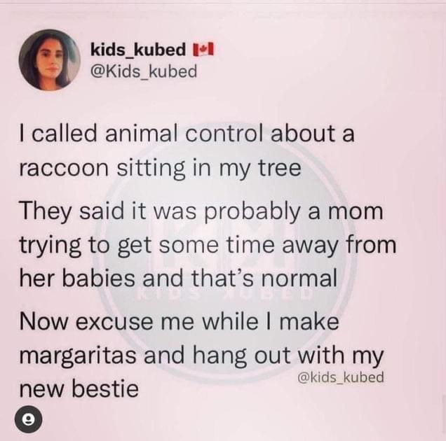 document - kids_kubed Ii I called animal control about a raccoon sitting in my tree They said it was probably a mom trying to get some time away from her babies and that's normal Now excuse me while I make margaritas and hang out with my kubed new bestie 