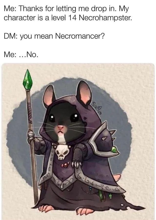 gaming memes  - necrohamster meme - Me Thanks for letting me drop in. My character is a level 14 Necrohampster. Dm you mean Necromancer? Me ...No. Salle Ro