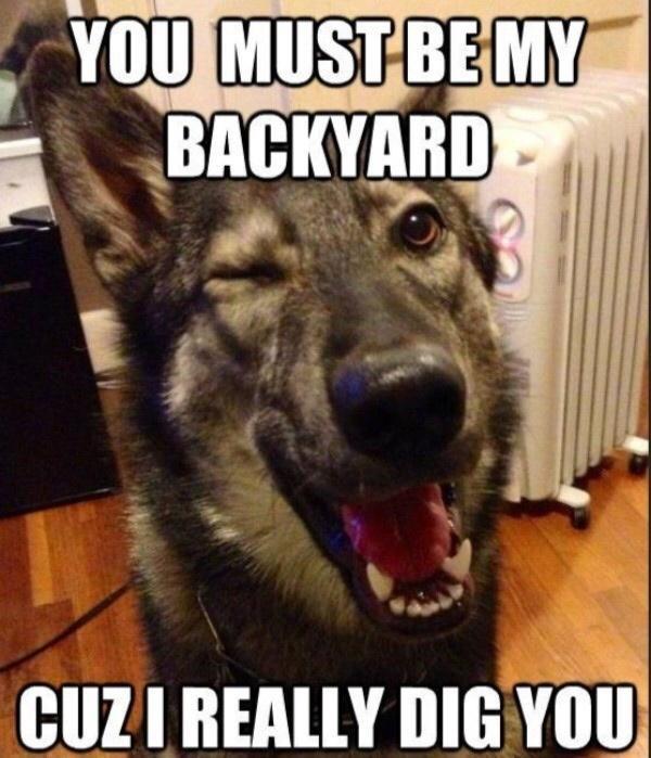 funny dogs jokes - You Must Be My Backyard Cuz I Really Dig You