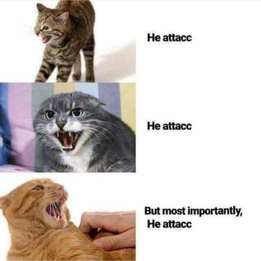 he attacc