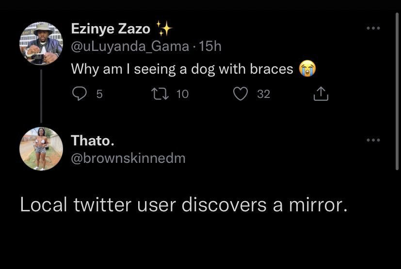 atmosphere - Ezinye Zazo . 15h Why am I seeing a dog with braces 27 10 32 5 Thato. Local twitter user discovers a mirror.