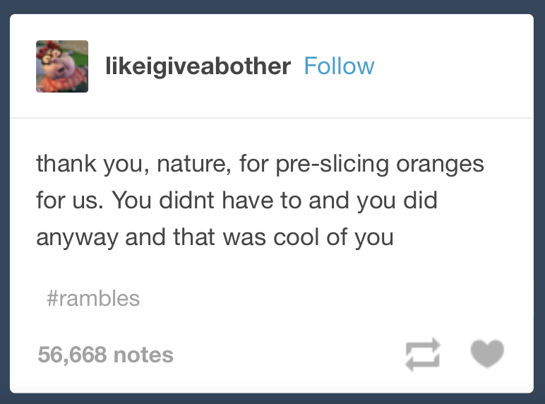 igiveabother thank you, nature, for preslicing oranges for us. You didnt have to and you did anyway and that was cool of you 56,668 notes