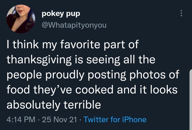 presentation - pokey pup I think my favorite part of thanksgiving is seeing all the people proudly posting photos of food they've cooked and it looks absolutely terrible 25 Nov 21 Twitter for iPhone