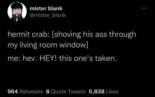 kind snacks - mister blank hermit crab shoving his ass through my living room window me hev. Hey! this one's taken. 964 8 Quote Tweets 5,838