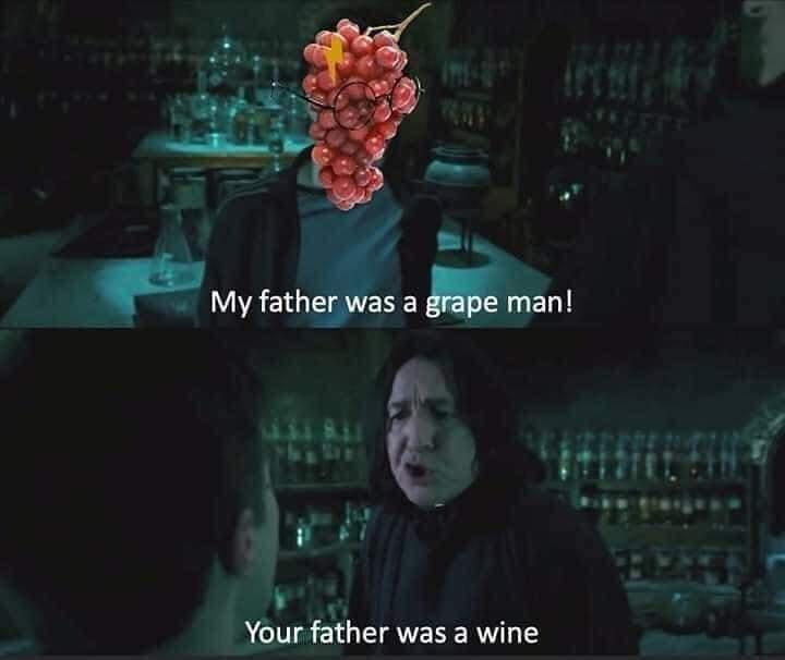 extremely funny funny harry potter memes - My father was a grape man! Your father was a wine
