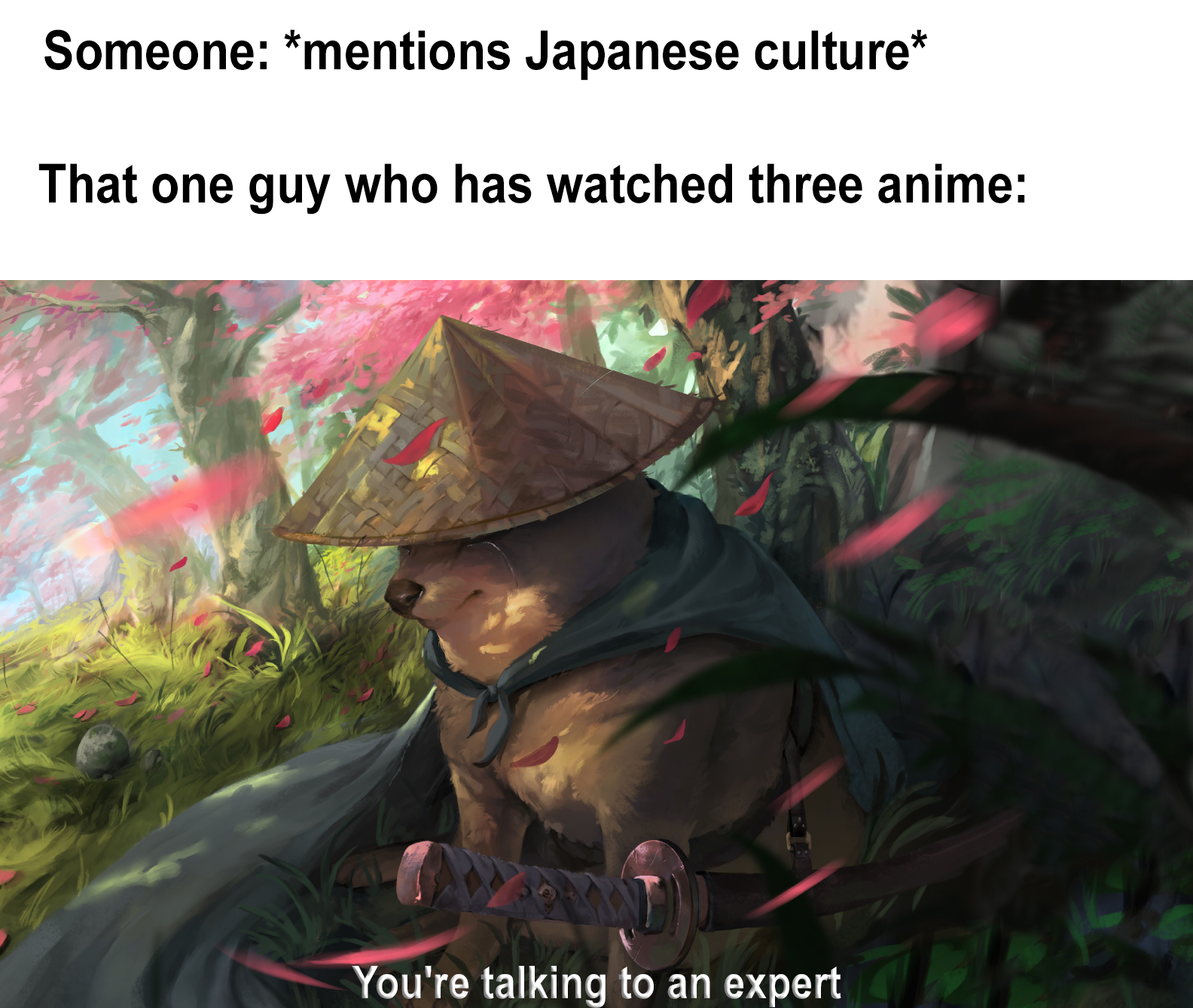 funny gaming memes  - Someone mentions Japanese culture That one guy who has watched three anime You're talking to an expert