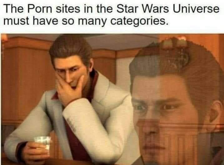 funny gaming memes  - if you are waiting for the waiter - The Porn sites in the Star Wars Universe must have so many categories.