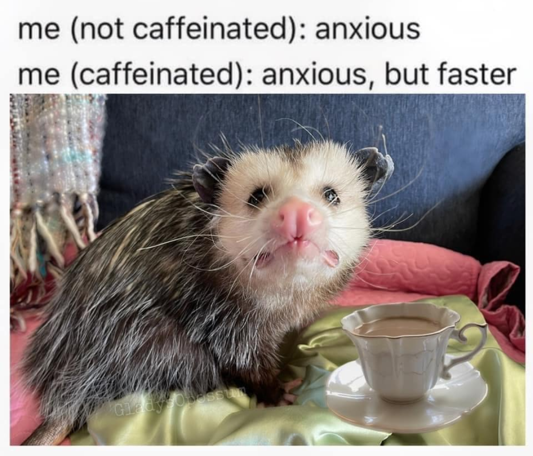 fauna - me not caffeinated anxious me caffeinated anxious, but faster