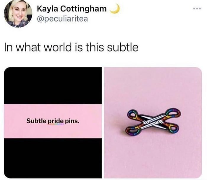 funny tweets - subtle pride pins - Kayla Cottingham In what world is this subtle Subtle pride pins.