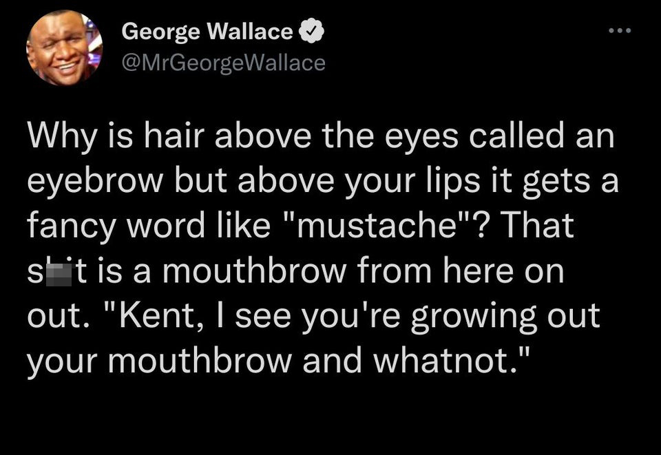 funny tweets - George Wallace Why is hair above the eyes called an eyebrow but above your lips it gets a fancy word