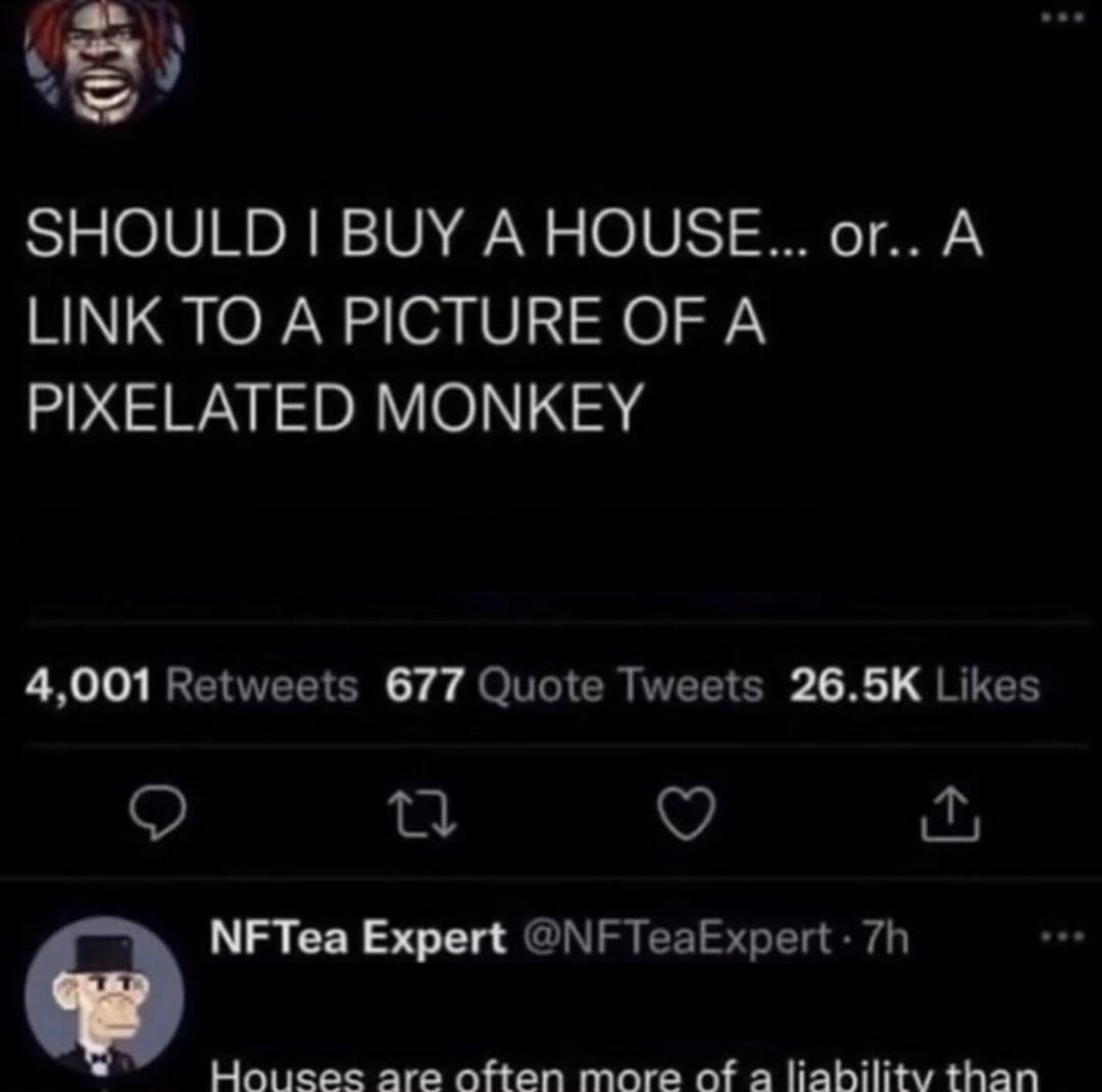 funny tweets - principles of corporate finance - Should I Buy A House... or.. A Link To A Picture Of A Pixelated Monkey 4,001 677 Quote Tweets 27 > NFTea Expert 7h Houses are often more of a liability than